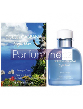 Dolce & Gabbana Light Blue Beauty of Capri, Toaletní voda 100ml - tester