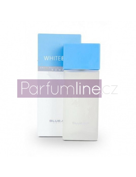 Blue Up Paris White , Parfemovaná  voda 100ml, (Alternativa parfemu Dolce & Gabbana Light Blue)