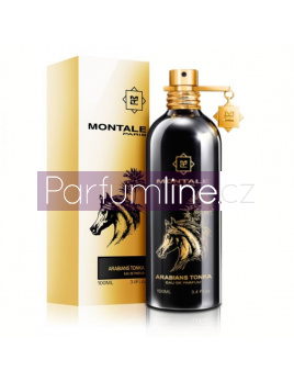 Montale Paris Arabians Tonka, Parfumovaná voda 100ml