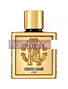 Roberto Cavalli Uomo Golden Anniversary Intense, Parfumovaná voda 100ml - Tester