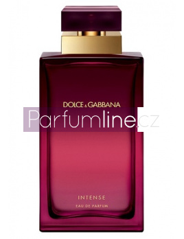 Dolce & Gabbana Pour Femme Intense, Parfémovaná voda 100ml - tester